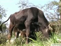 Athletic mummy enjoys masturbating a massive schlong